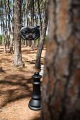 Down the Rabbit Hole Alice in Wonderland Woodland Wedding (67)