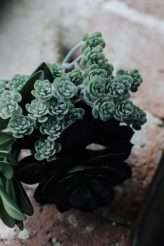 Oklahoma City Tattoo Studio Wedding (14)