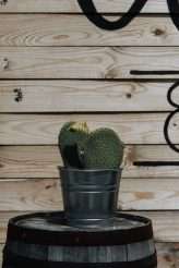 Oklahoma City Tattoo Studio Wedding (39)