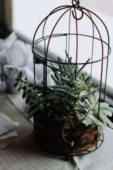 Oklahoma City Tattoo Studio Wedding (8)