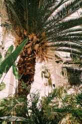 Elegant & Botanical Twin Peaks Wedding (4)