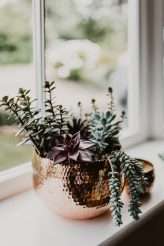 Industrial and Botanical Green House Wedding (1)