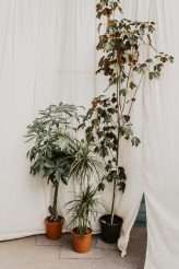 Industrial and Botanical Green House Wedding (28)