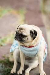 NauticalRetroWedding-MaddieMillsPhoto-371