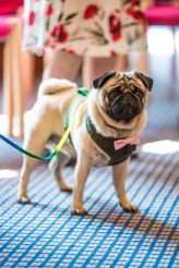 A Rainbow-Filled Kid’s Birthday Party Wedding (32)