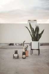 Fun-Filled Rooftop Elopement at Sunset (34)