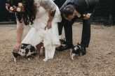 Farm Wedding with Piglets, Their French Bulldog & Lots of Rum! (49)