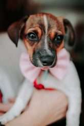 Intimate London Wedding with The Grooms in Matching Pink Suits! (8)