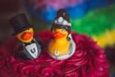 Rainbows, Disney & Rubber Ducks (3)