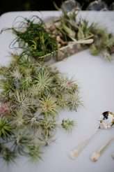 Whimsical & Geeky Mid-Century Wedding in Palm Springs (43)