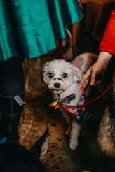 A Rainbow Heavy Metal Disco! (46)