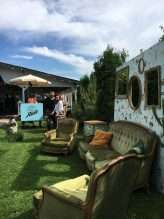 Cat Themed Wedding in Romania (11)