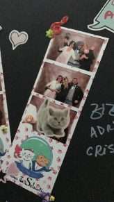 Cat Themed Wedding in Romania (55)