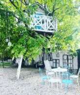 Cat Themed Wedding in Romania (9)