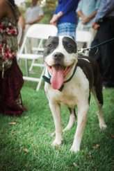 Eccentric Colourful Dog-Friendly Wedding in Texas (26)