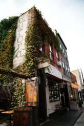 Leslie Swan Photography LLC