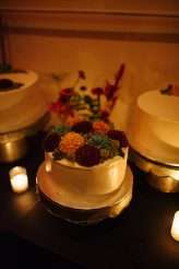 Leslie Swan Photography LLC