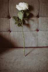 London Fairytale Wedding With Luxe Edge Edge (3)