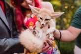 Vintage World’s Fair Wedding at The Houdini Estate with All the Colour, Steampunk Details… and Sloths! (103)