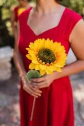 Vintage World’s Fair Wedding at The Houdini Estate with All the Colour, Steampunk Details… and Sloths! (30)