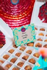 Indian-Inspired Vegan Wedding Under The Stars42