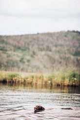 Romantic Rustic Jewish Mountain Wedding 10