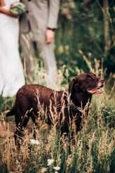 Romantic Rustic Jewish Mountain Wedding 35