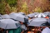 Wiccan Wedding on Halloween… in the Rain! (22)