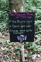 Colourful Woodland Wedding with a Dinosaur Theme 42