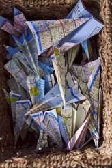 Dog Ring Bearer Adventure Succulent Wedding 49