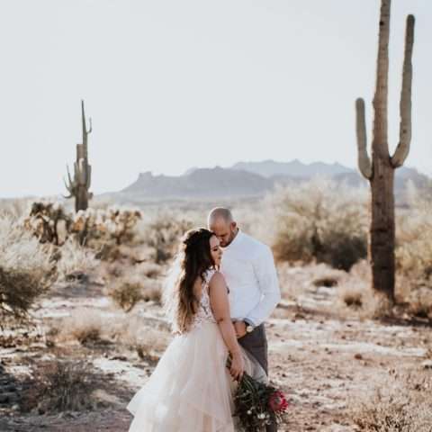 View More: http://sarahpricephotography.pass.us/caitlin-and-matthew-arizona