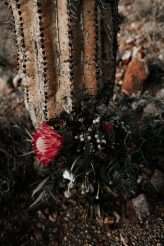 View More: http://sarahpricephotography.pass.us/caitlin-and-matthew-arizona