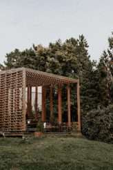 Hungarian Pine Forest Wedding Dog Ring Bearers 13