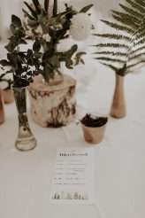 Hungarian Pine Forest Wedding Dog Ring Bearers 3