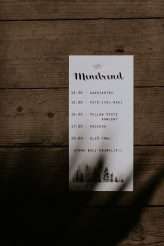 Hungarian Pine Forest Wedding Dog Ring Bearers 4