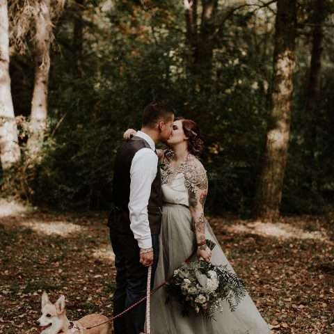 Hungarian Pine Forest Wedding Dog Ring Bearers 46