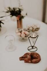 Hungarian Pine Forest Wedding Dog Ring Bearers 58