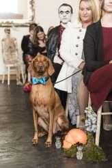 Light and Airy Halloween Wedding in Swansea28