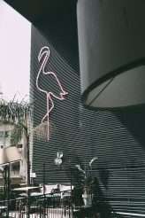 Tel Aviv Garden Witchy Party Wedding 1