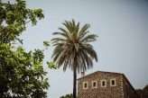 Boho Romantic Wedding in Palma Mallorca 1