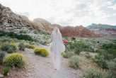 Crazy Pink Las Vegas Elopement (32)