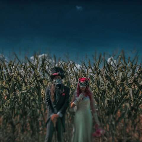 Rock n Roll Cats Themed Wedding – Mutual Weirdness Forever 44