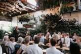 Beautiful Greenery and Book-Inspired Greenhouse Wedding in 42 Degree Melbourne Heat 74