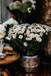 Philosophy Renaissance Kawaii London Wedding Dogsmaids 3