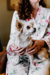 Philosophy Renaissance Kawaii London Wedding Dogsmaids 4