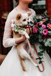 Philosophy Renaissance Kawaii London Wedding Dogsmaids 57
