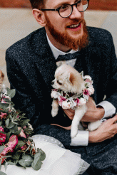 Philosophy Renaissance Kawaii London Wedding Dogsmaids 59