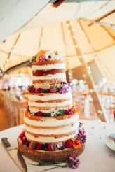 Vegan Festival Wedding with DIY Bar and Cats10