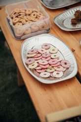 Vegan Festival Wedding with DIY Bar and Cats71