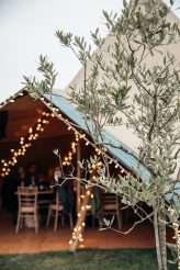 Vegan Festival Wedding with DIY Bar and Cats72